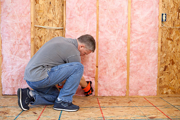 Best Insulation Materials and Products in Topaz Ranch Estates, NV