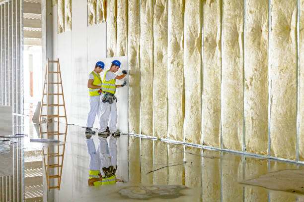 Best Commercial Insulation in Topaz Ranch Estates, NV